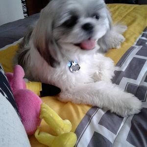 Meet your Posher, Diane