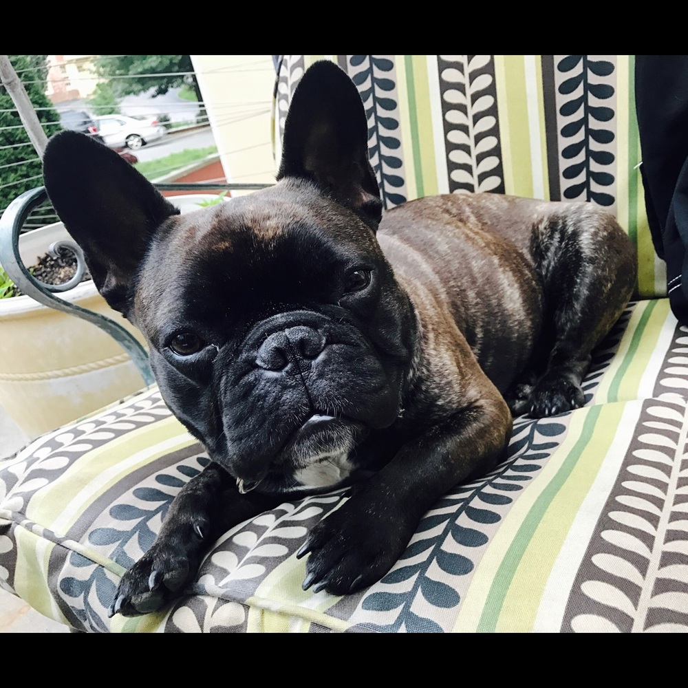 Meet your Posher, Vanessa