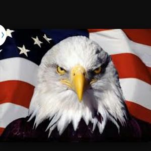 Meet your Posher, Hunter