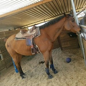 Meet your Posher, Tarah