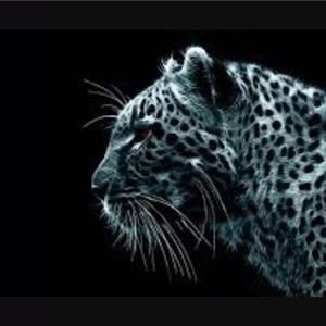 Meet your Posher, Ali