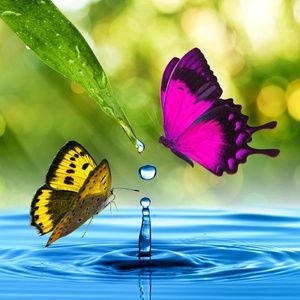 Meet your Posher, Barbara