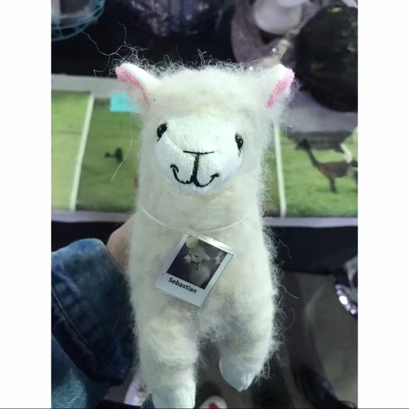 Meet your Posher, Menghan - Picture 1 of 1