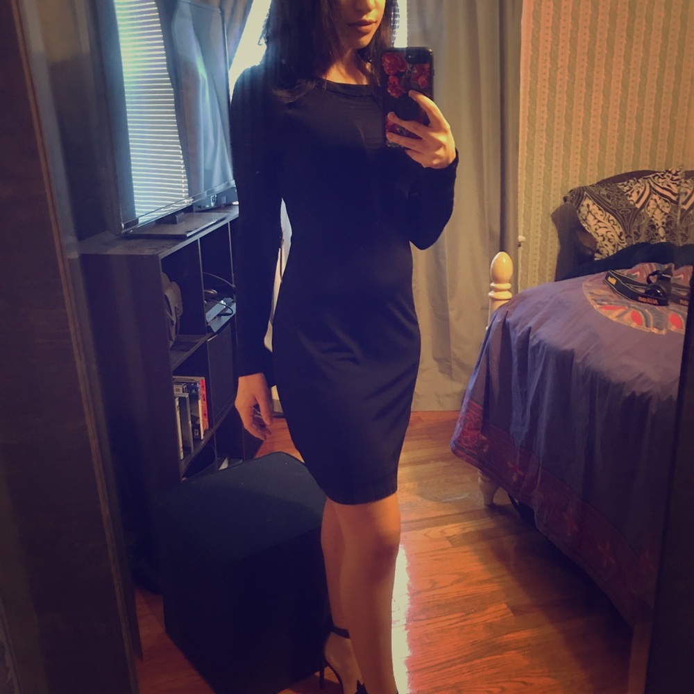 Express Black Mesh Long Sleeved Dress