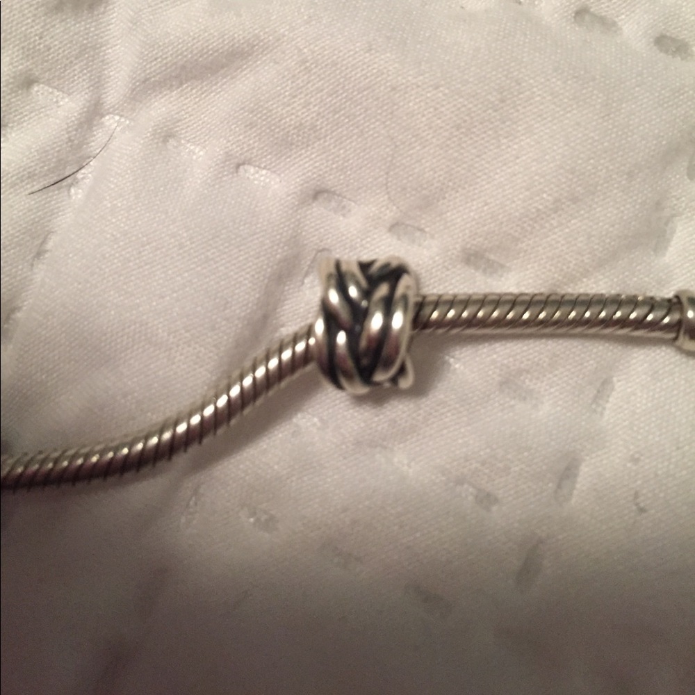 Forget me knot pandora charm.