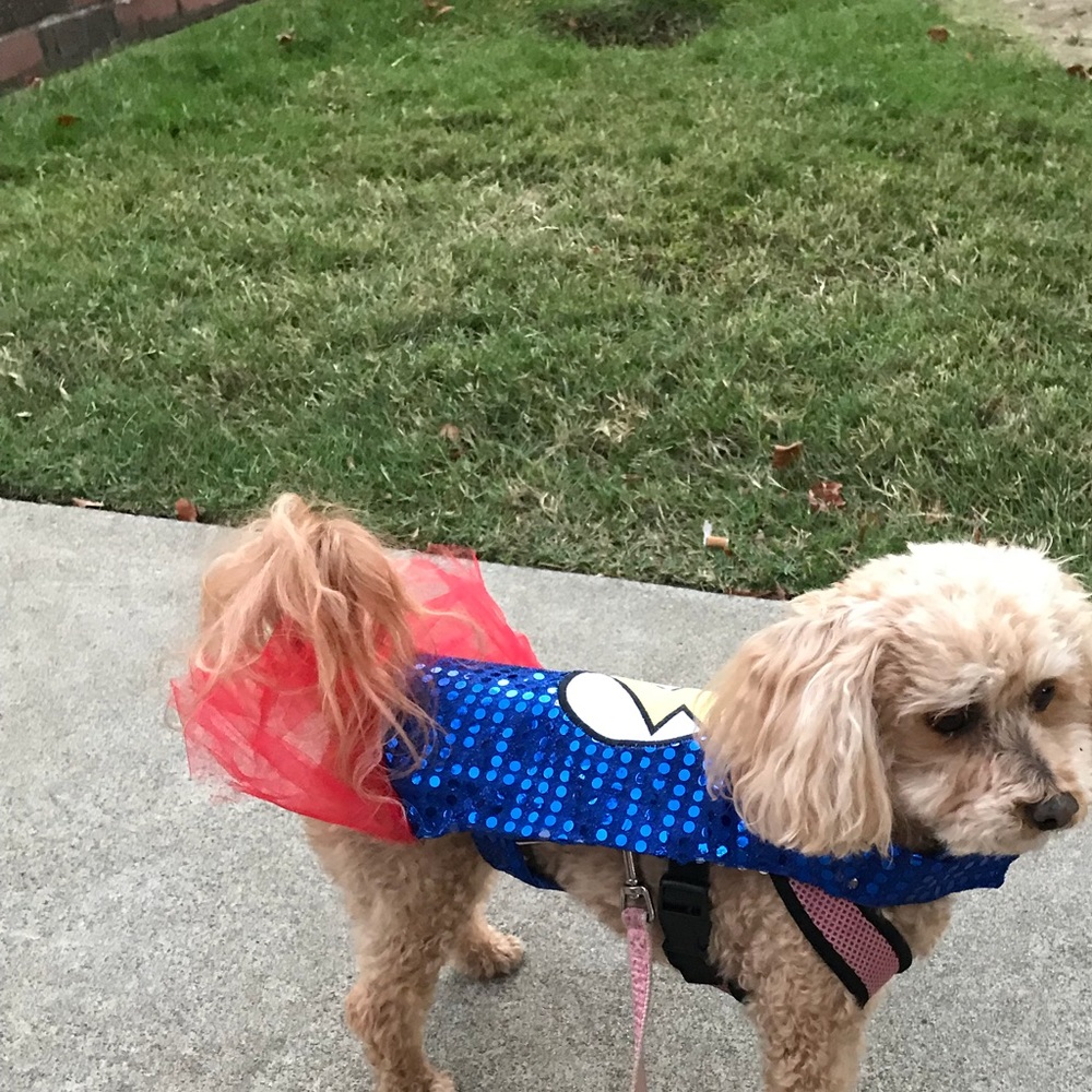 Meet your Posher, Kim