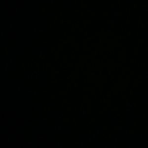 Meet your Posher, Manuel