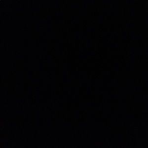 Meet your Posher, Benjamin