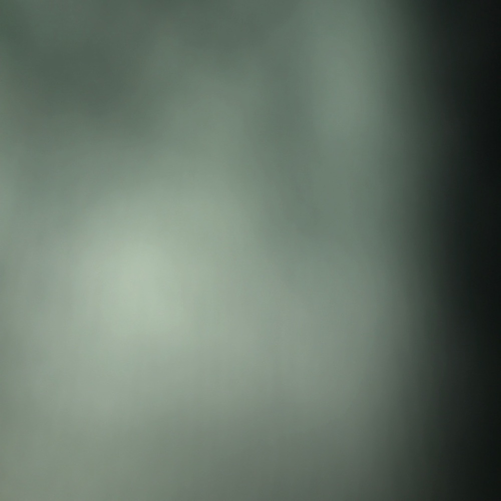 Meet your Posher, Sasha