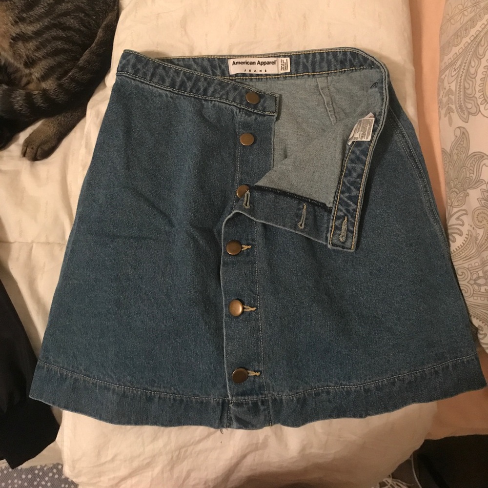 American apparel button front skirt