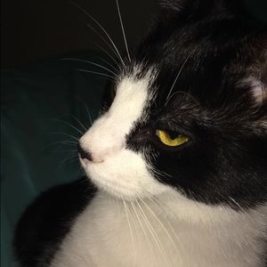 Meet your Posher, Briana