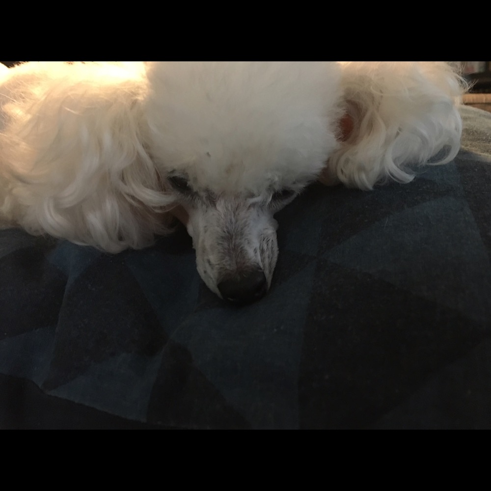 Meet your Posher, Chrystal