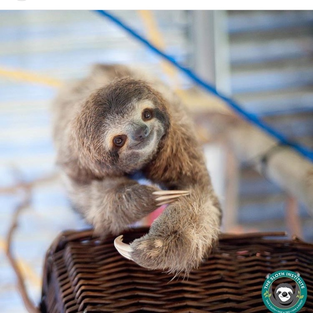 Meet your Posher, Karen