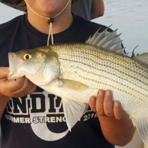 Meet your Posher, Alec