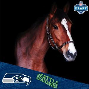 Meet your Posher, Cheyenne