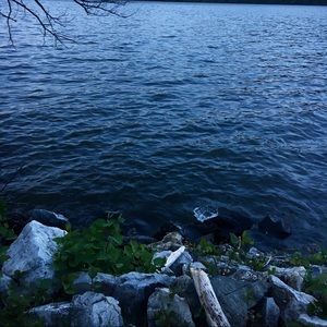 Meet your Posher, Evan