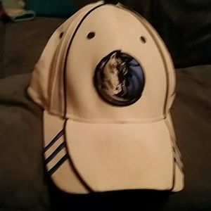 Mavericks cap NBA