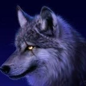 Meet your Posher, Raymond