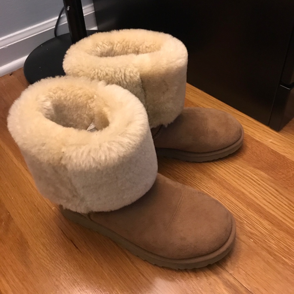 Tall classic chestnut uggs
