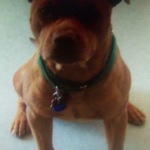 Meet your Posher, Elyas