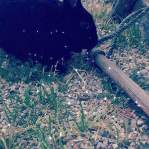 Meet your Posher, Jorge