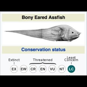Meet your Posher, Shiv