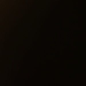 Meet your Posher, Levi