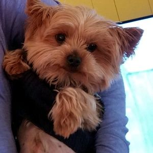 Meet your Posher, Maryann