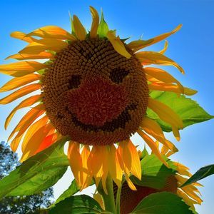 Meet your Posher, Elle