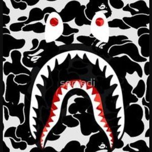 Meet your Posher, Ali