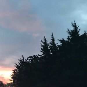 Meet your Posher, Olga