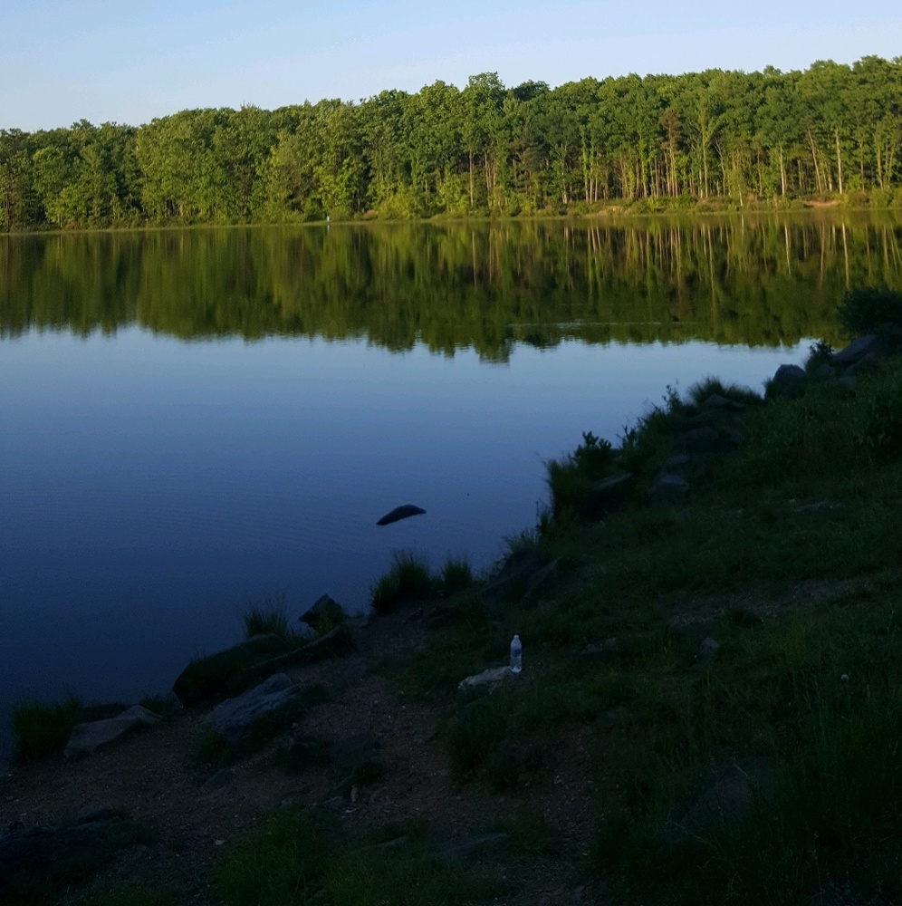 Meet your Posher, Yuleni