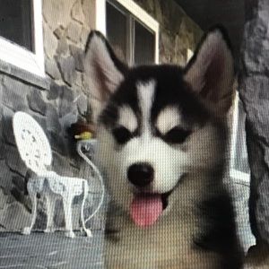 Meet your Posher, Matthew