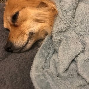 Meet your Posher, Scott