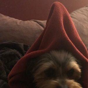 Meet your Posher, Samuel