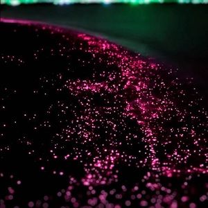 Meet your Posher, Hazel