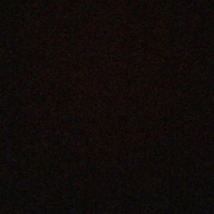 Meet your Posher, Tabitha