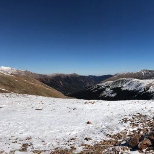 Meet your Posher, Jackson