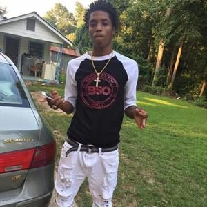 Meet your Posher, Jasper