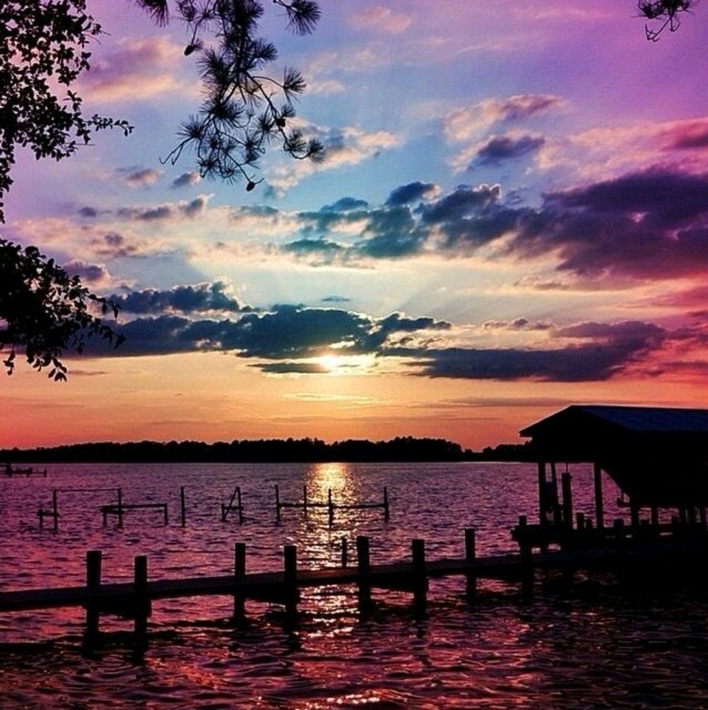 Meet your Posher, Janet