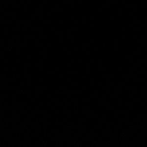 Meet your Posher, Amicia