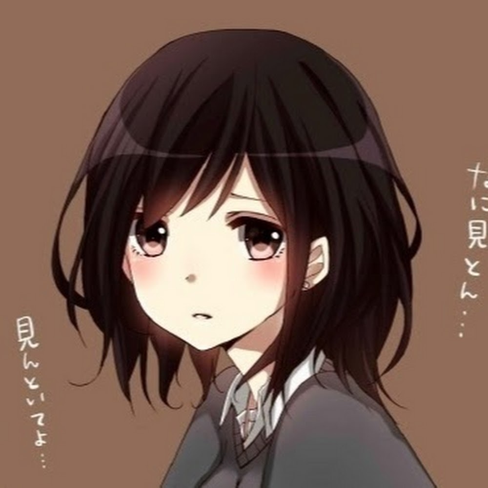 Meet your Posher, Molly