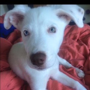 Meet your Posher, Michaela