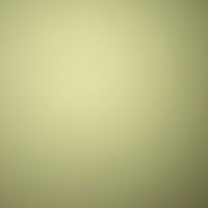 Meet your Posher, Bryan