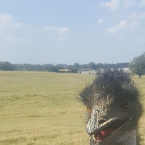 Meet your Posher, Latasha