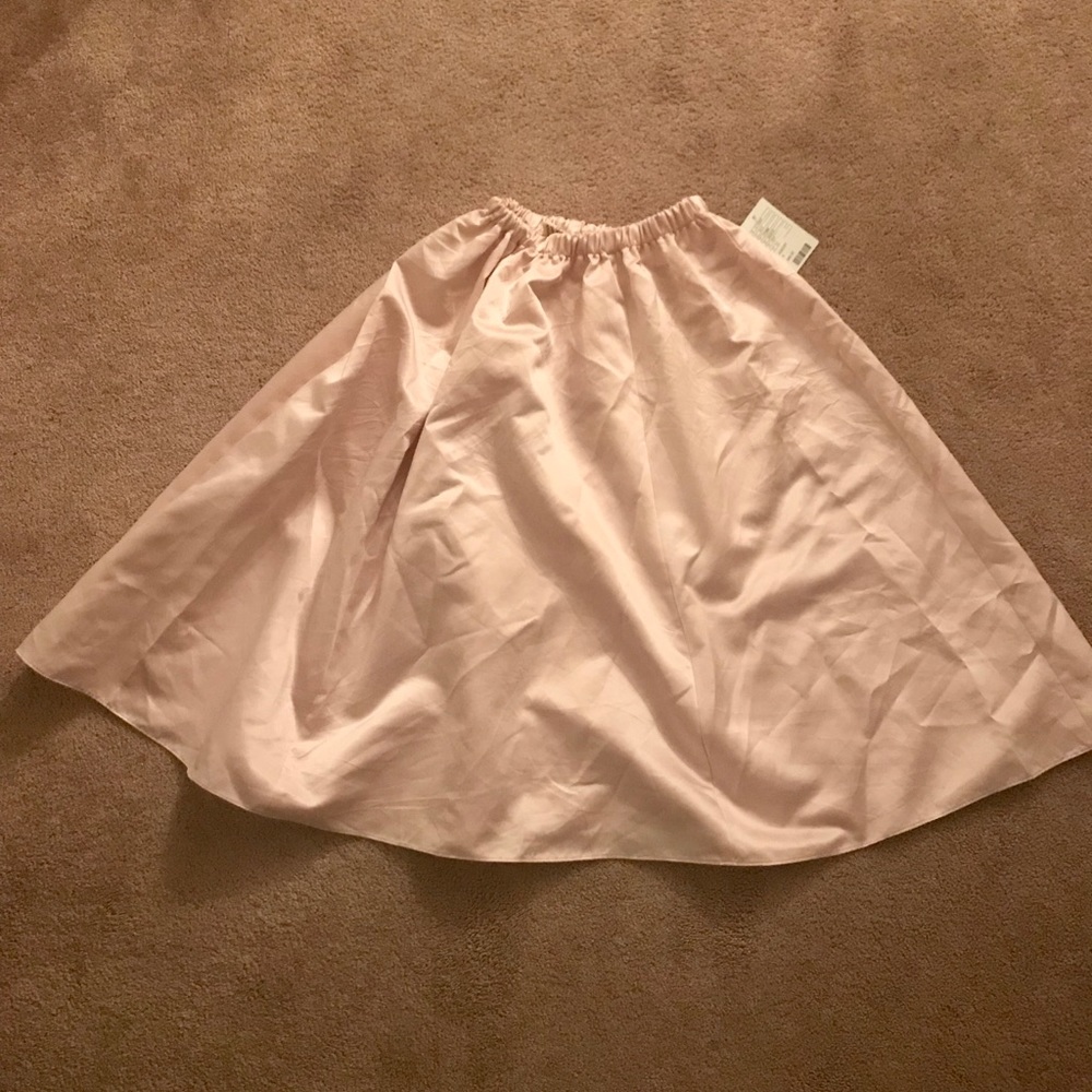 NWT Pale pink satin urban renewal skirt