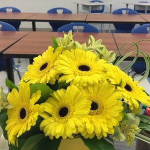 Meet your Posher, Annette