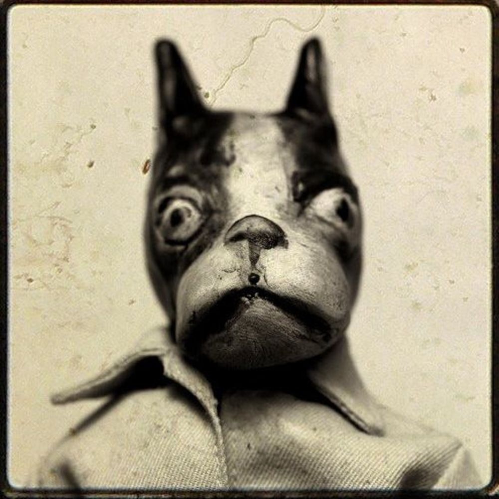 Meet your Posher, Jason