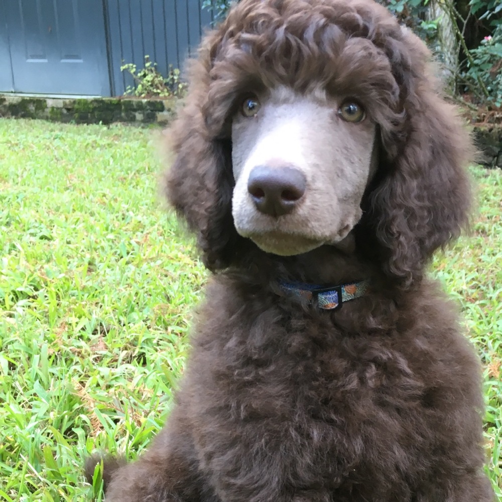 Meet your Posher, Michelle