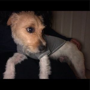 Meet your Posher, Dani